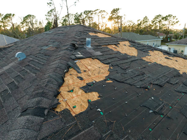 Best Asphalt Shingle Roofing  in South Deerfield, MA